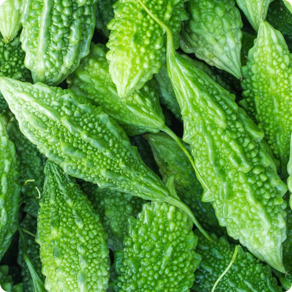 苦瓜：多面向的營養果實